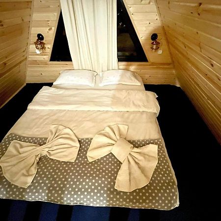 Ska Cottage Kazbegi Exteriör bild